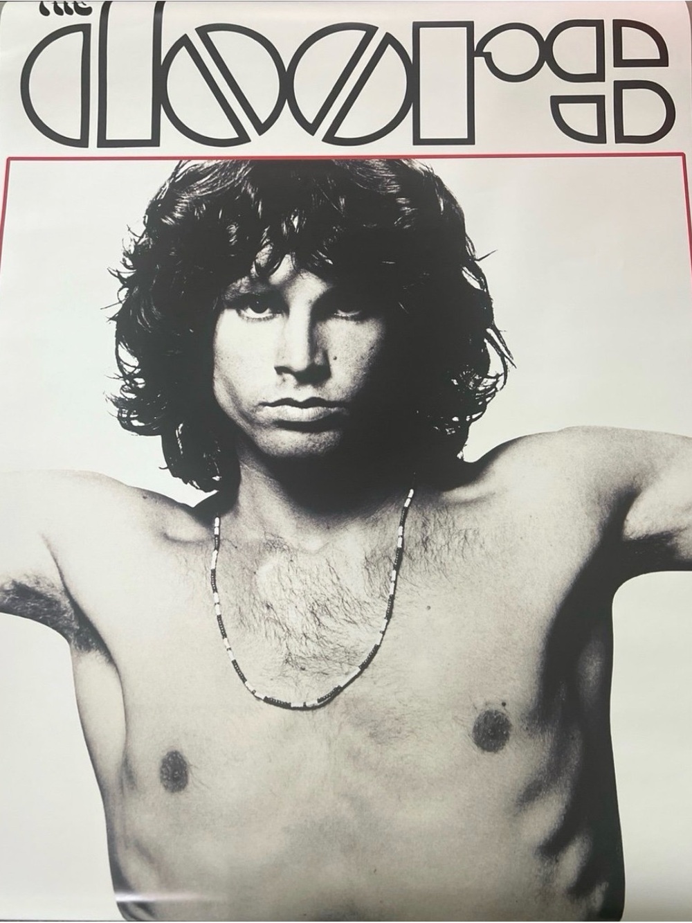 The Doors Poster